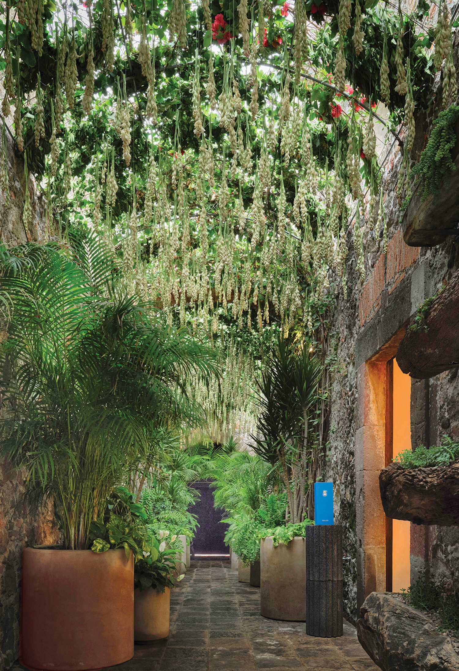 a walkway with pots of plants and flowers