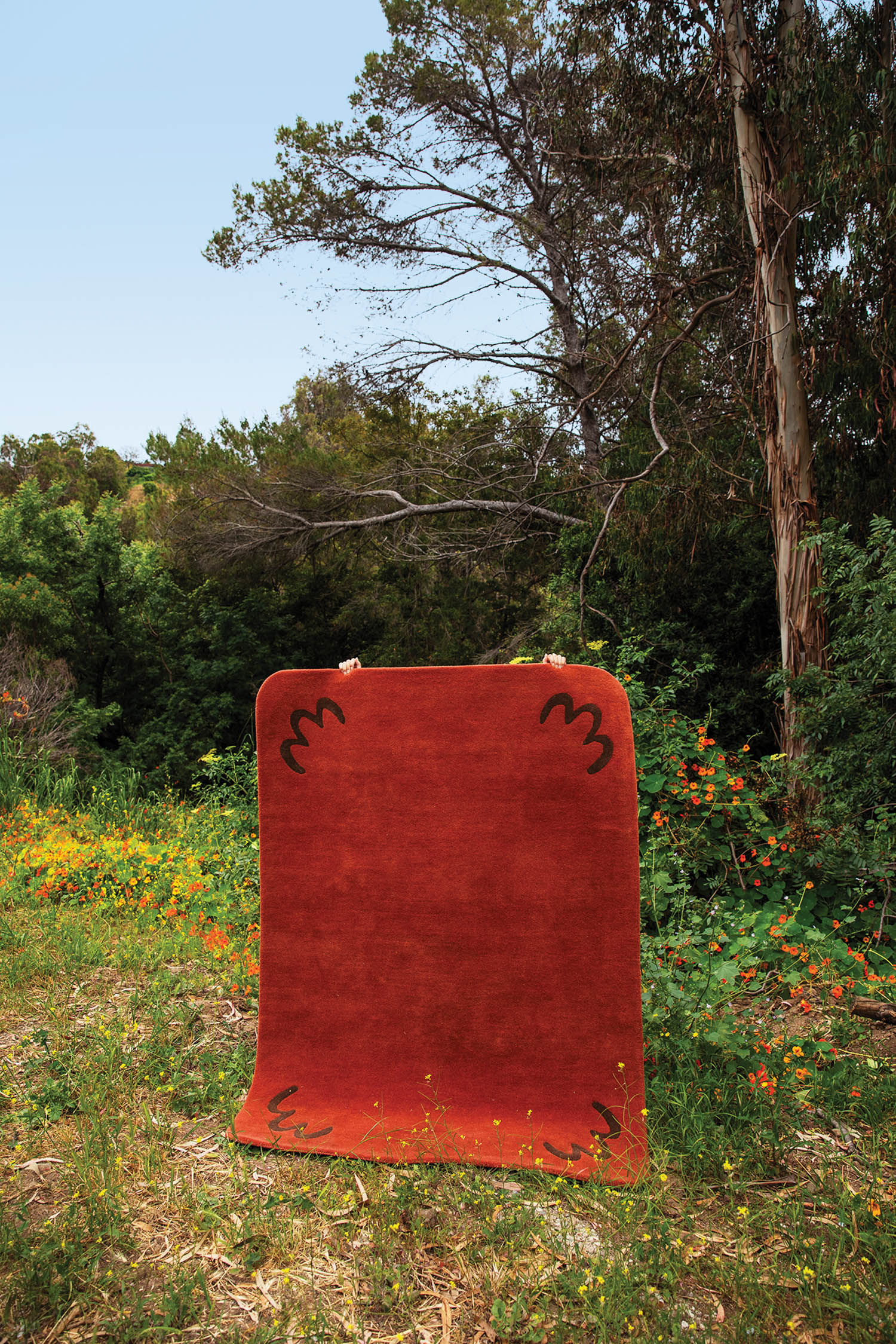 red rug in a field